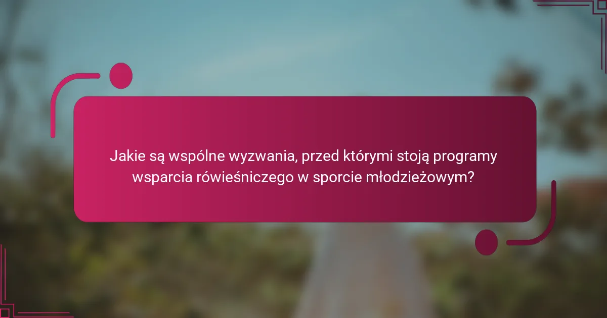 Jakie są wspólne wyzwania, przed którymi stoją programy wsparcia rówieśniczego w sporcie młodzieżowym?